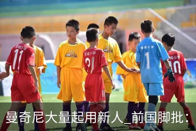 曼奇尼大量起用新人 前国脚批：进意大利队太容易了